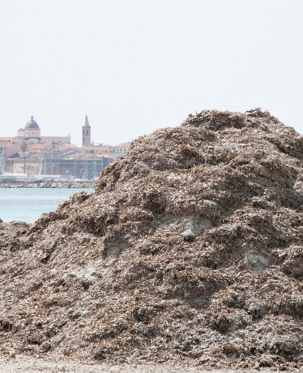Via libera al recupero della sabbia 