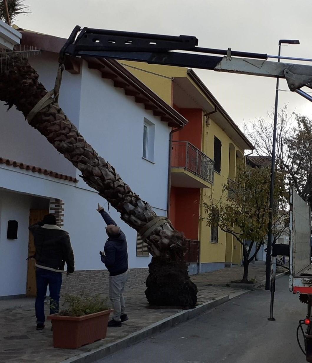 Forti raffiche di vento notte di lavoro per i vigili 