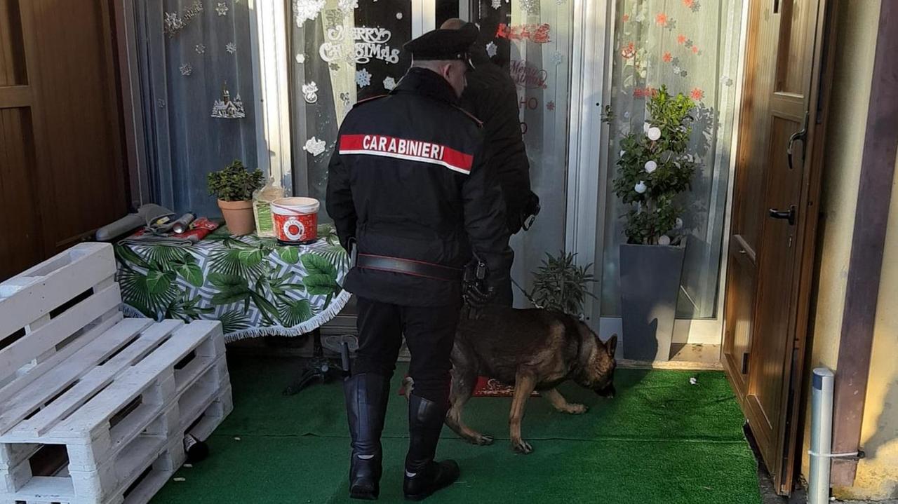 Perquisizioni e arresti dei carabinieri in Sardegna per droga, furti e rapine