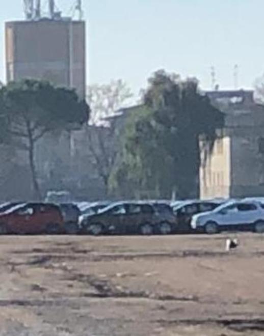 Prende forma il polo logistico nell’area dell’ex zuccherificio di Bondeno