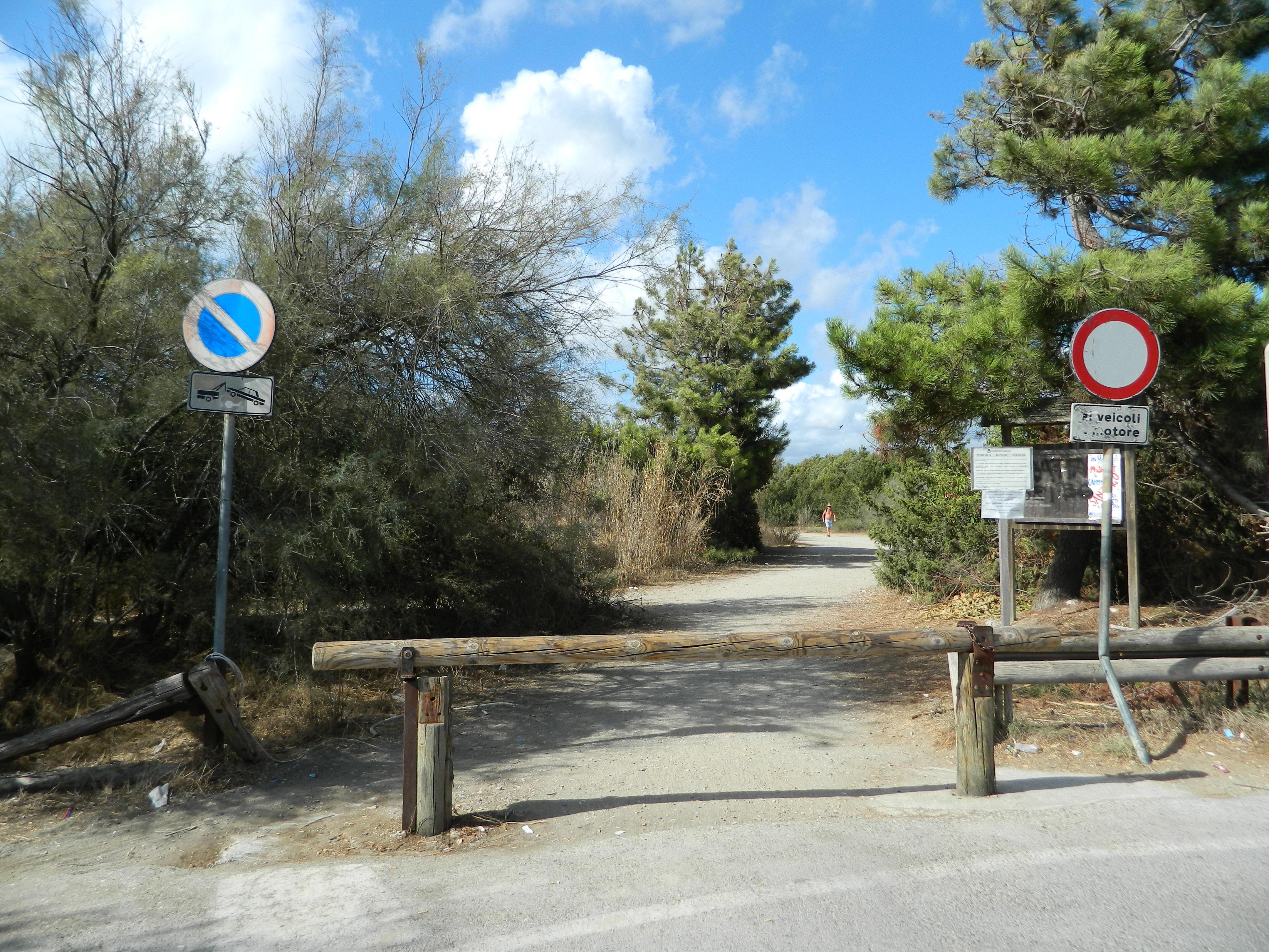 L'appello degli ambientalisti: "La ciclovia Tirrenica passi dal viale dei Tigli"