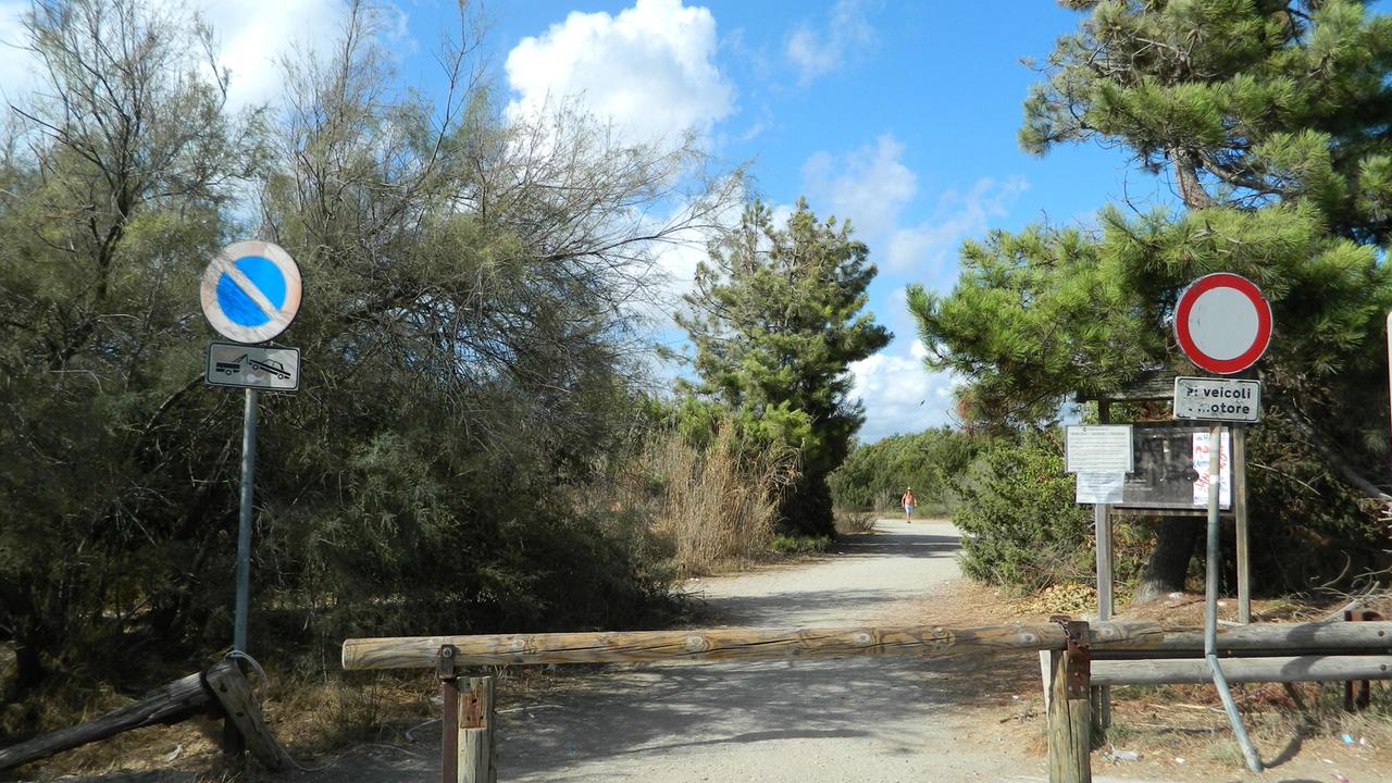 L'appello degli ambientalisti: "La ciclovia Tirrenica passi dal viale dei Tigli"