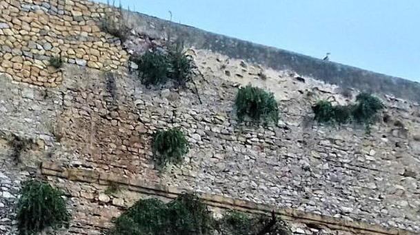 Segnalazioni e proteste, i lettori non ci stanno