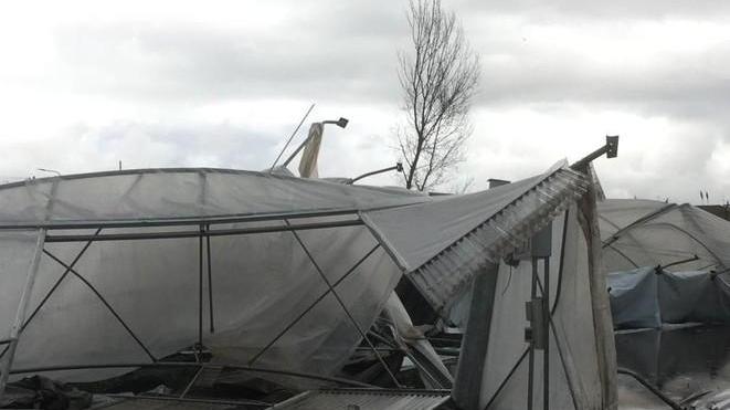 Sos dei vivaisti: noi in balìa del clima impazzito