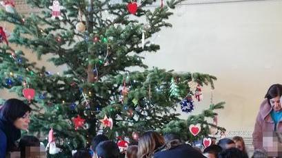L’albero di Staccia Buratta