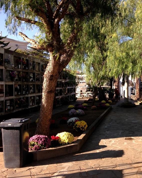 Cimiteri, pronto il bando di gestione 