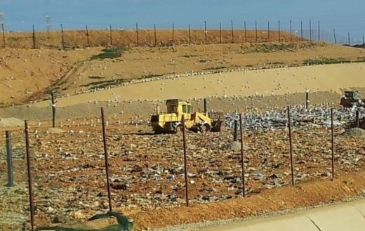Biogas a Scala Erre, accordo Ladurner-Comune 