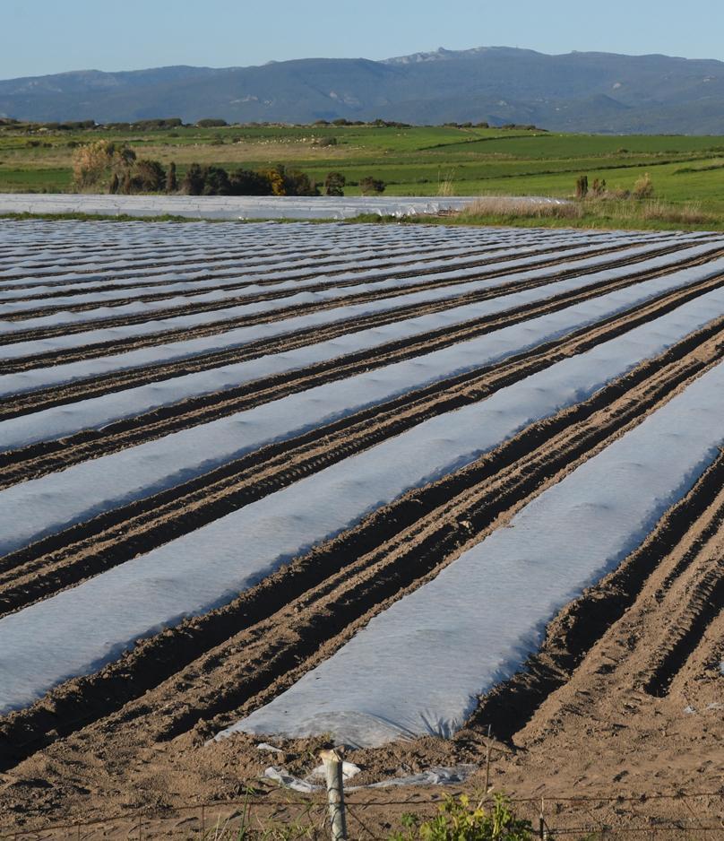 Consorzio di Bonifica: eletto il nuovo consiglio 