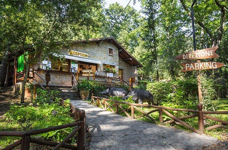 Il campeggio nel bosco cambia gestione e assume: 60 i profili richiesti 