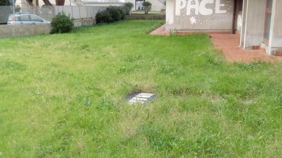 Il giardino sprofonda alla media Pascoli Partono le indagini