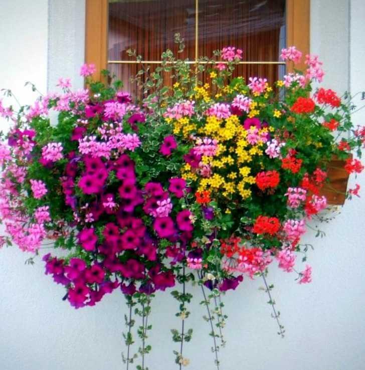 Balconi e vetrine di Natale, un concorso premia i più belli