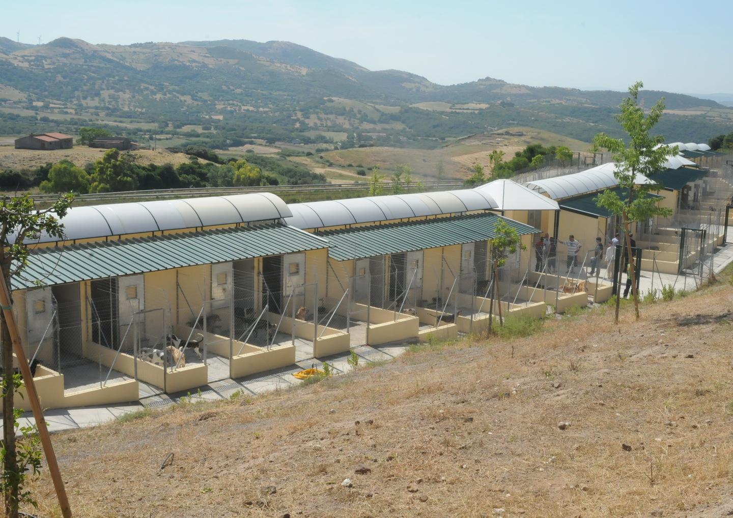 Nuove canalette nel canile comunale 