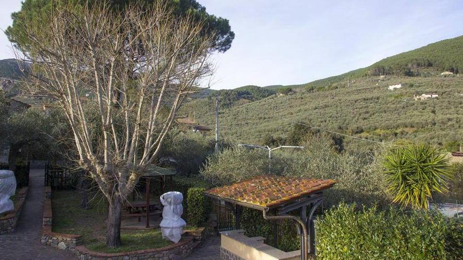 Suona l’inno in onore della tradizione butese: i ravioli sono ripieni di trippa con fonduta