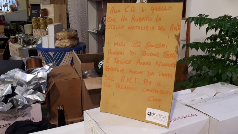 Modena. Mercato Albinelli: ruba la stella di Natale benefica, immortalata dalle telecamere
