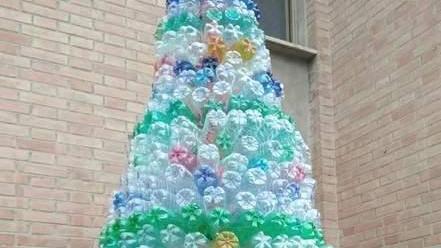 Ecco finalmente l’albero Ed è anche ecologico grazie a 865 bottigliette