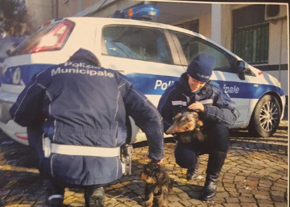 La polizia locale nel calendario 2020 