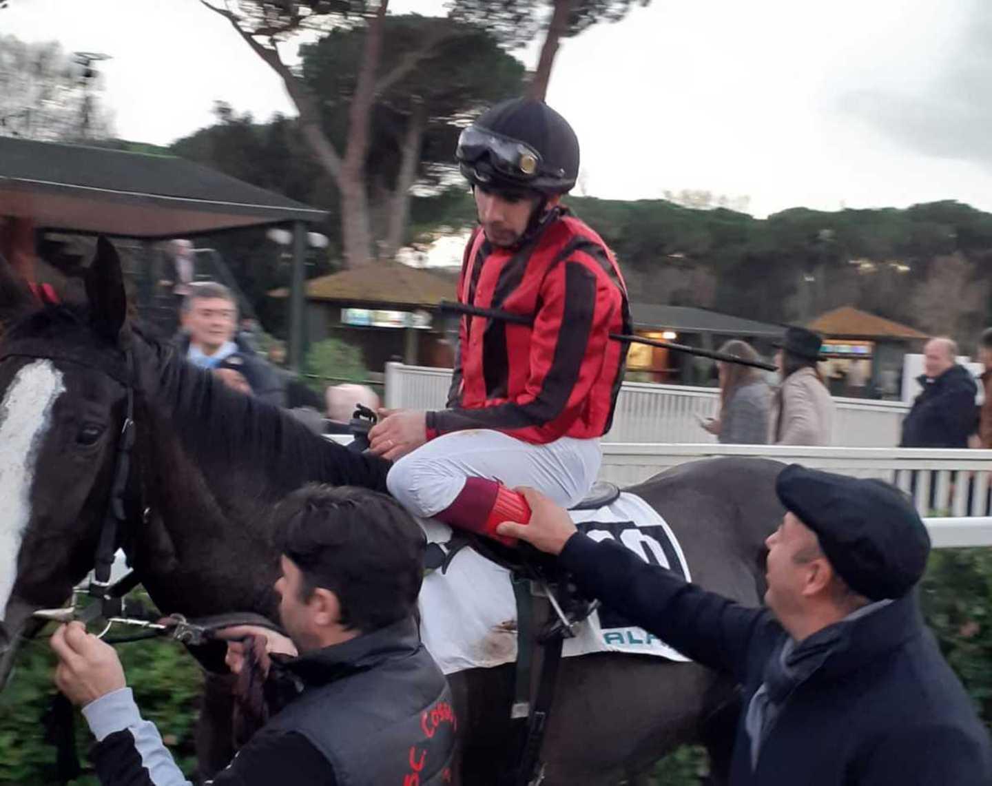 Verbena Rosa sul podio all’ippodromo di Pisa 