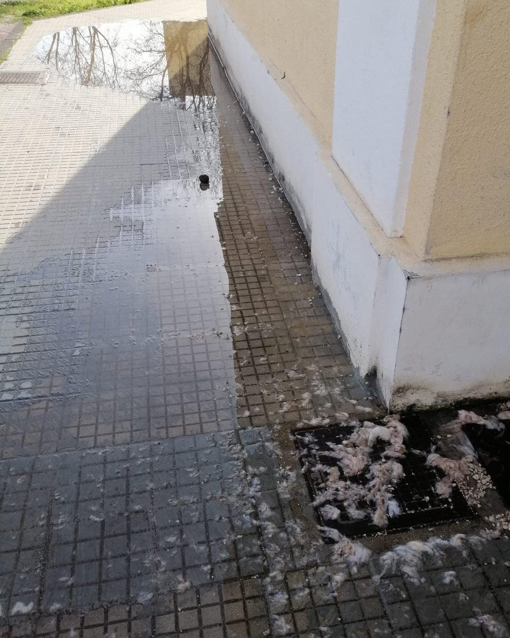 Orosei, liquami e topi nella scuola 