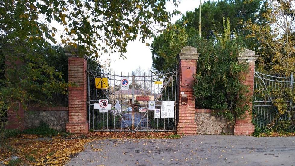 «Chi inquina deve pagare» Magliette Bianche a raccolta