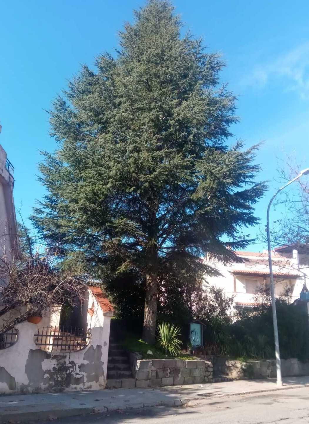 I cittadini: «Abbattuto un simbolo del quartiere» 