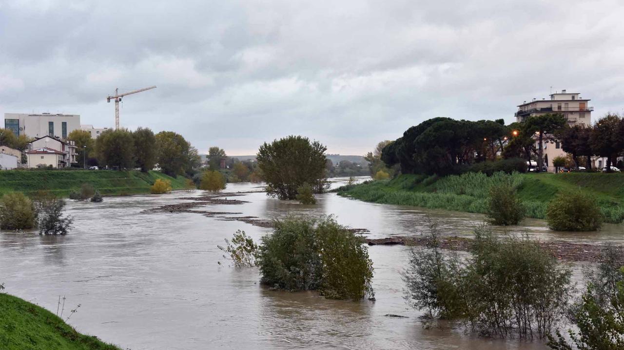 Maltempo nell'Empolese, si alza il livello dei fiumi. Caduti alberi