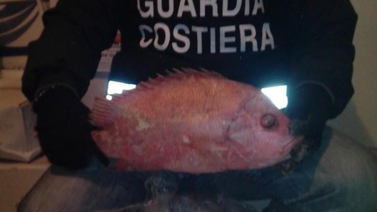 Quattro reti a strascico, sigilli a Porto Azzurro