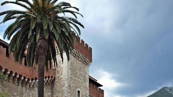 «In Accademia si vive un grande conflitto»