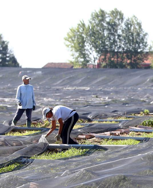 Dal consiglio stop al cemento I terreni diventano agricoli 