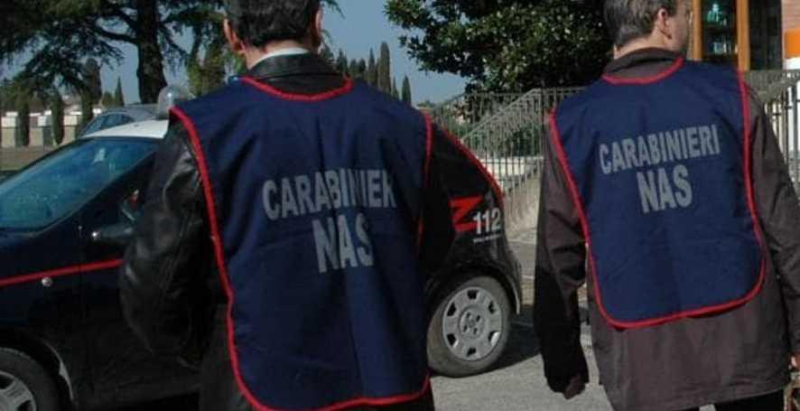 Suini non certificati a Laerru, nei guai due veterinari 