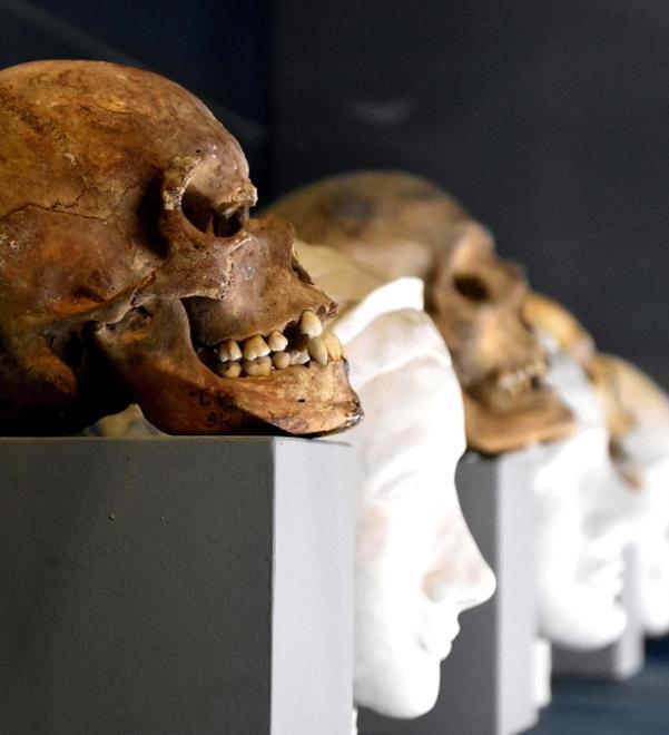 Vita, volti e profumi dell’antica Pompei In mostra l’intimità della villa di Polibio 