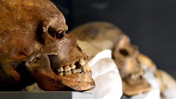 Vita, volti e profumi dell’antica Pompei In mostra l’intimità della villa di Polibio