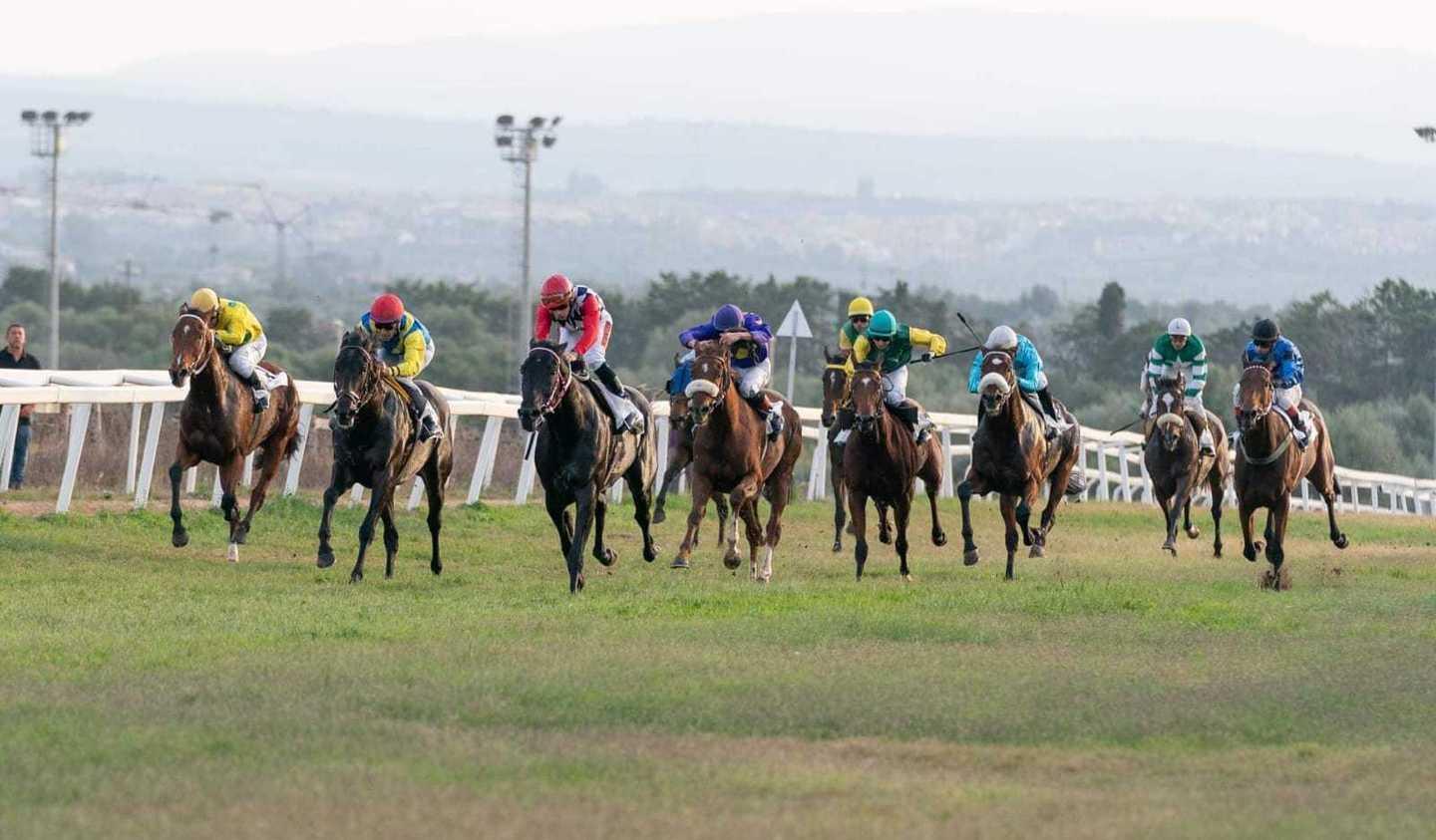 Ippica, Lady Gavoi e Dipinto i super favoriti a Villacidro 