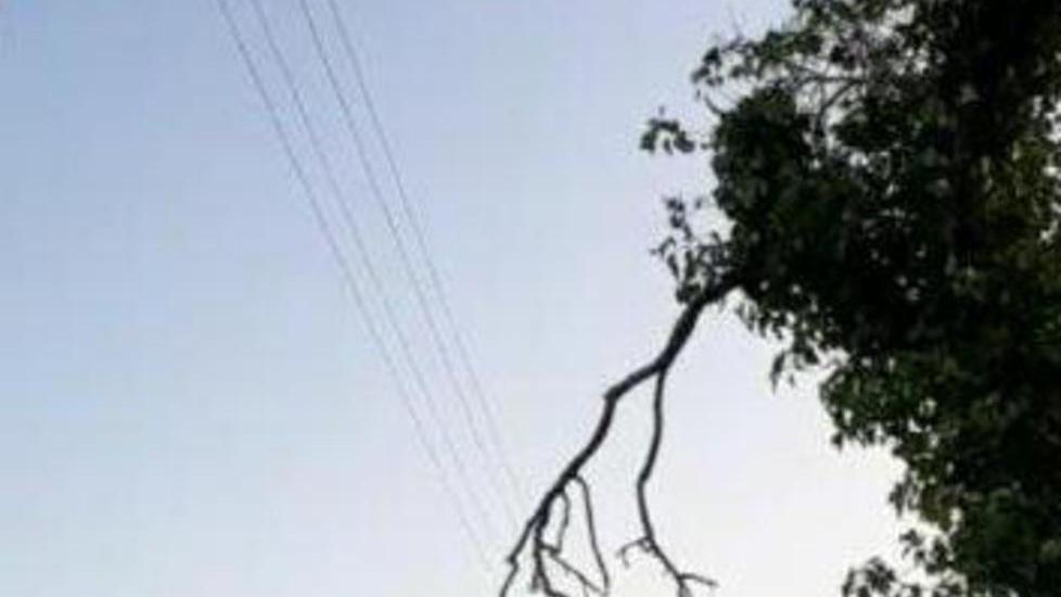 Due giorni al buio e al freddo per un albero appoggiato ai fili elettrici