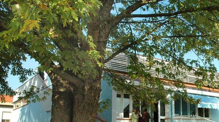 Nuovi lavori alle primarie di Belvedere e Scornio Ovest
