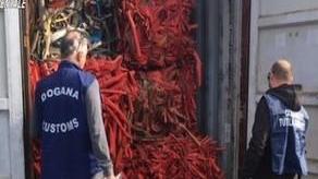 Traffici illeciti di rifiuti: bloccato a Cagliari un container diretto in Turchia