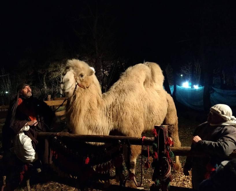 Da Bebbio fino a Cerezzola è ancora tempo di presepe 