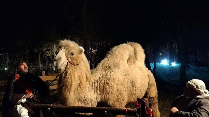 Da Bebbio fino a Cerezzola è ancora tempo di presepe