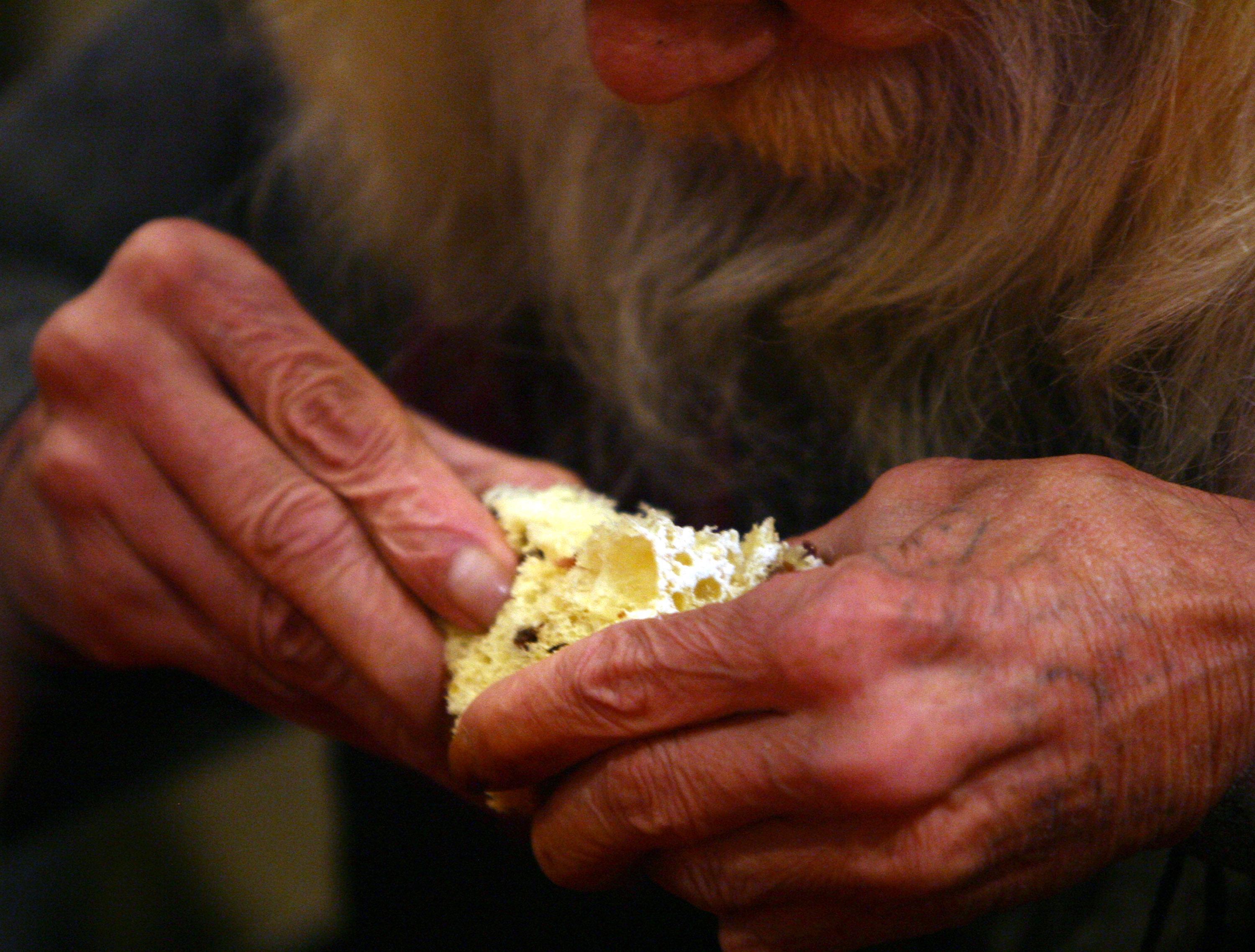 Anche a Natale le parole dicono ciò che siamo