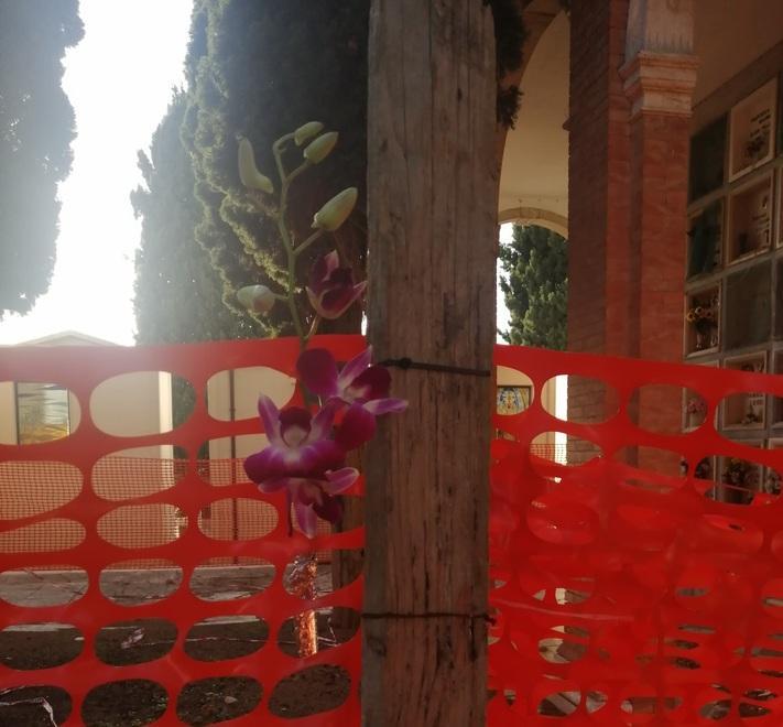 Tombe offlimits da mesi al cimitero di Sterpeto 