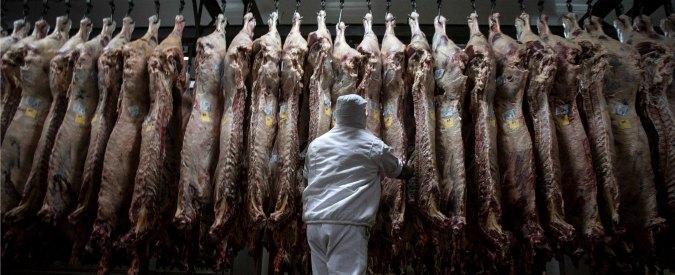 Castelnuovo e odori: altri esami nel 2020 