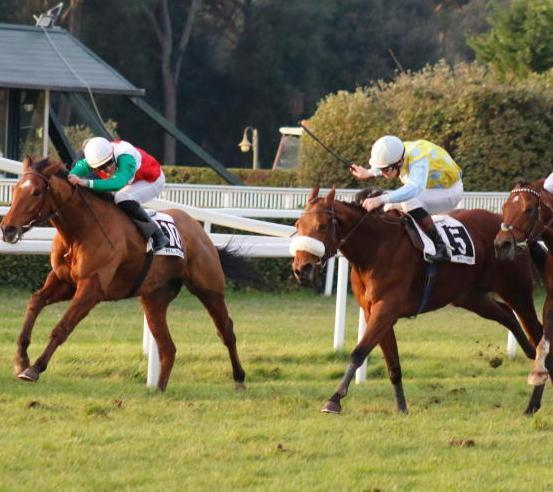 Lady of the Sun trionfa davanti al grande pubblico nel premio “Azzurrina”