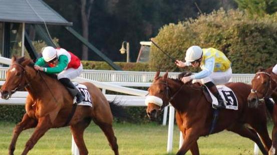 Lady of the Sun trionfa davanti al grande pubblico nel premio “Azzurrina”