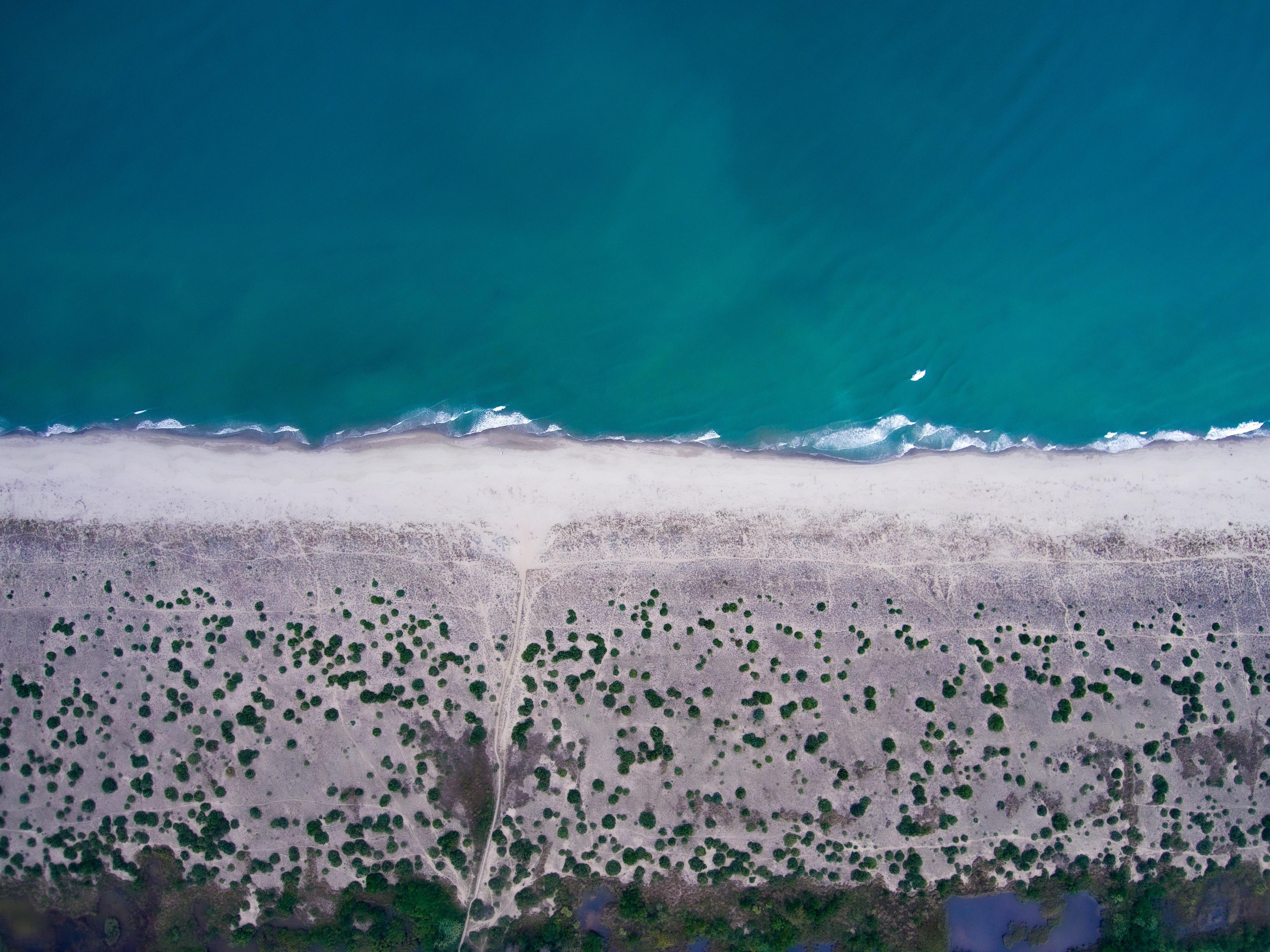 La spiaggia della Lecciona (foto di Roberto Paglianti)