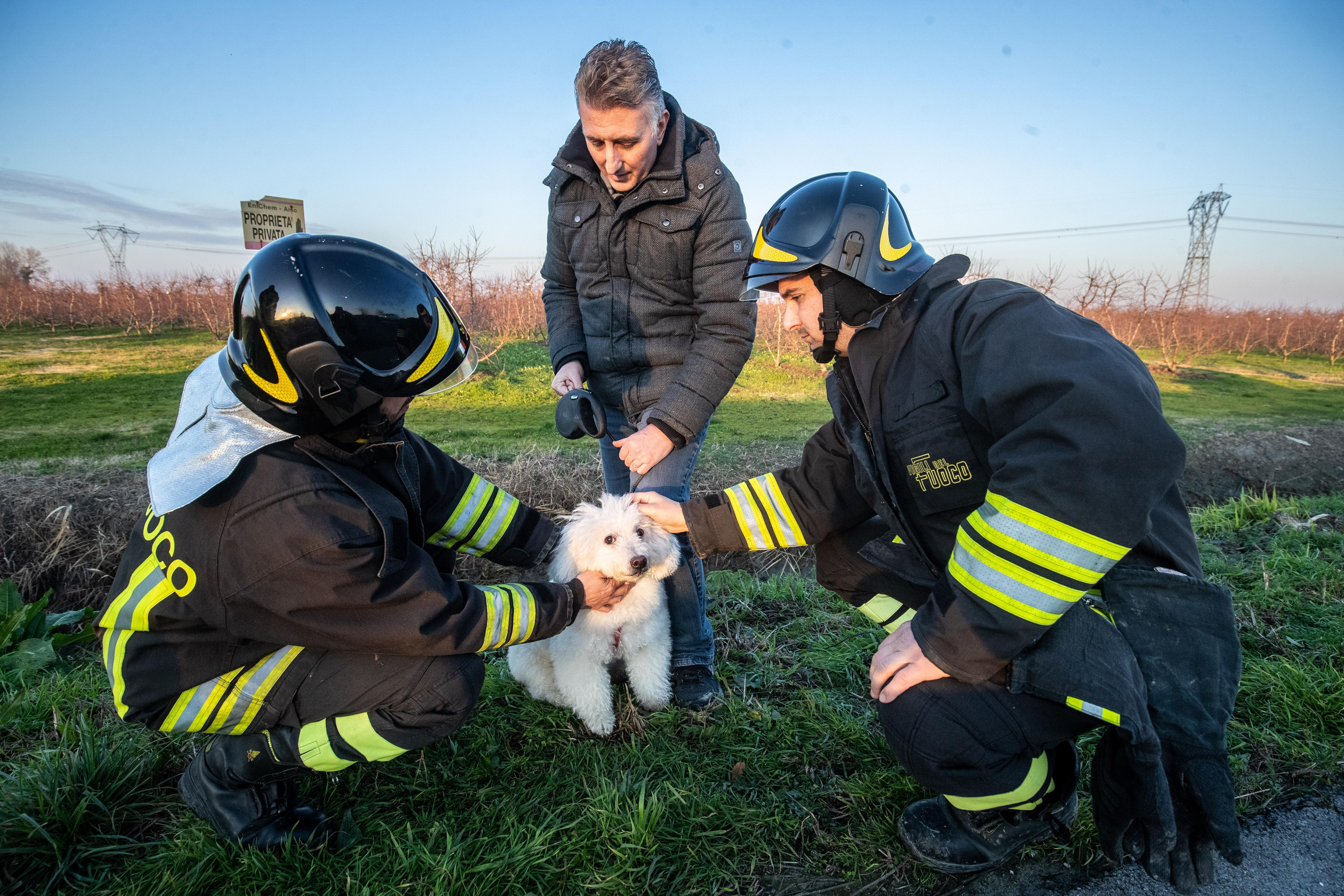 Il cagnolino salvato dai vigili del fuoco