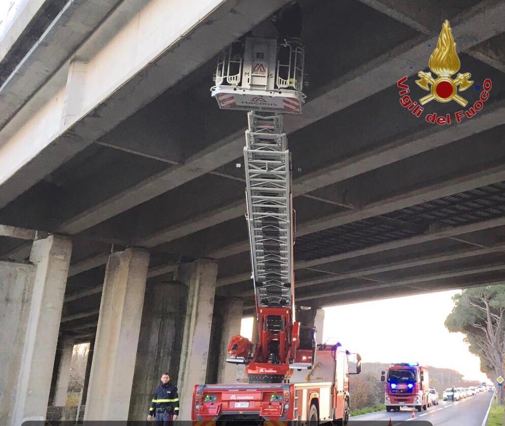 Pisa, cadono calcinacci dal viadotto dell'A12