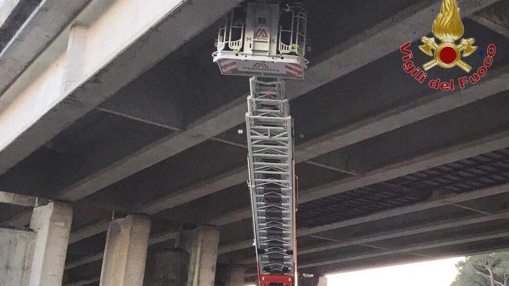 Pisa, cadono calcinacci dal viadotto dell'A12