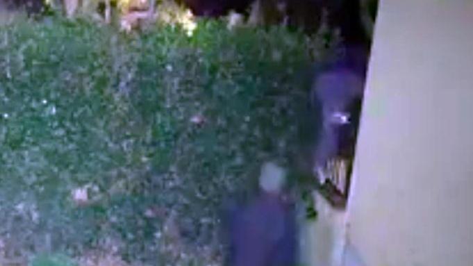 Ladri-acrobati salgono sui tetti per entrare in un palazzo