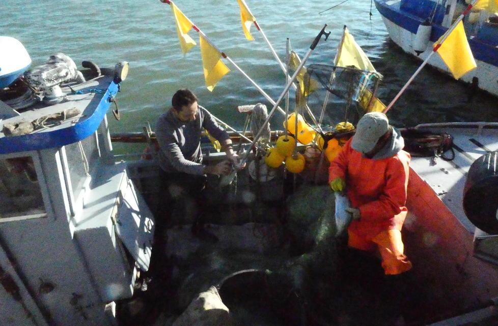 Nella rete finisce un pescato da record 