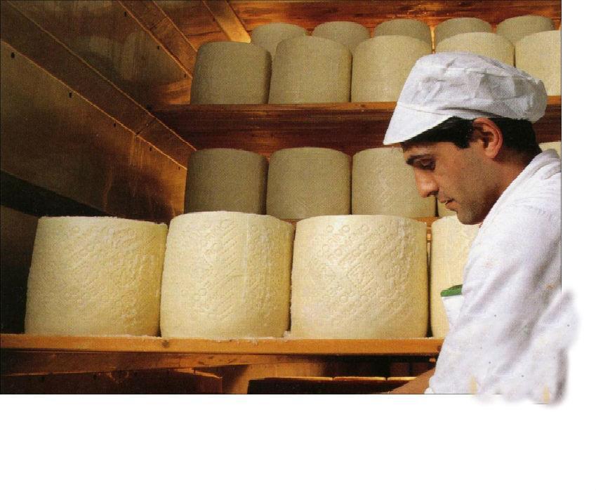 Snackorino vola lontano: è già sui mercati canadesi 