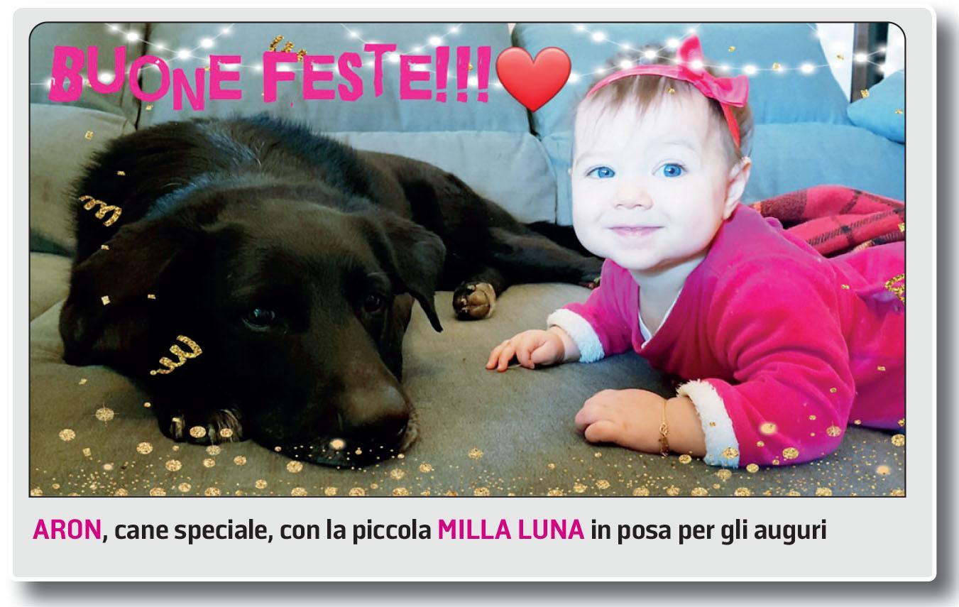 Le storie di Aron, Sofi e gli altri:quando adottare un cane al canile vuol dire aprire la porta all’amore 